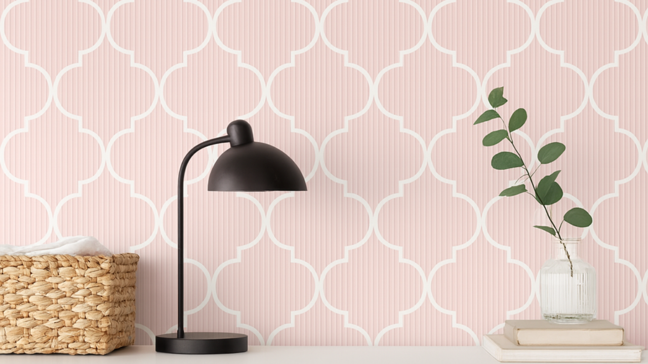 Your Everyday Deserves a Better Backdrop