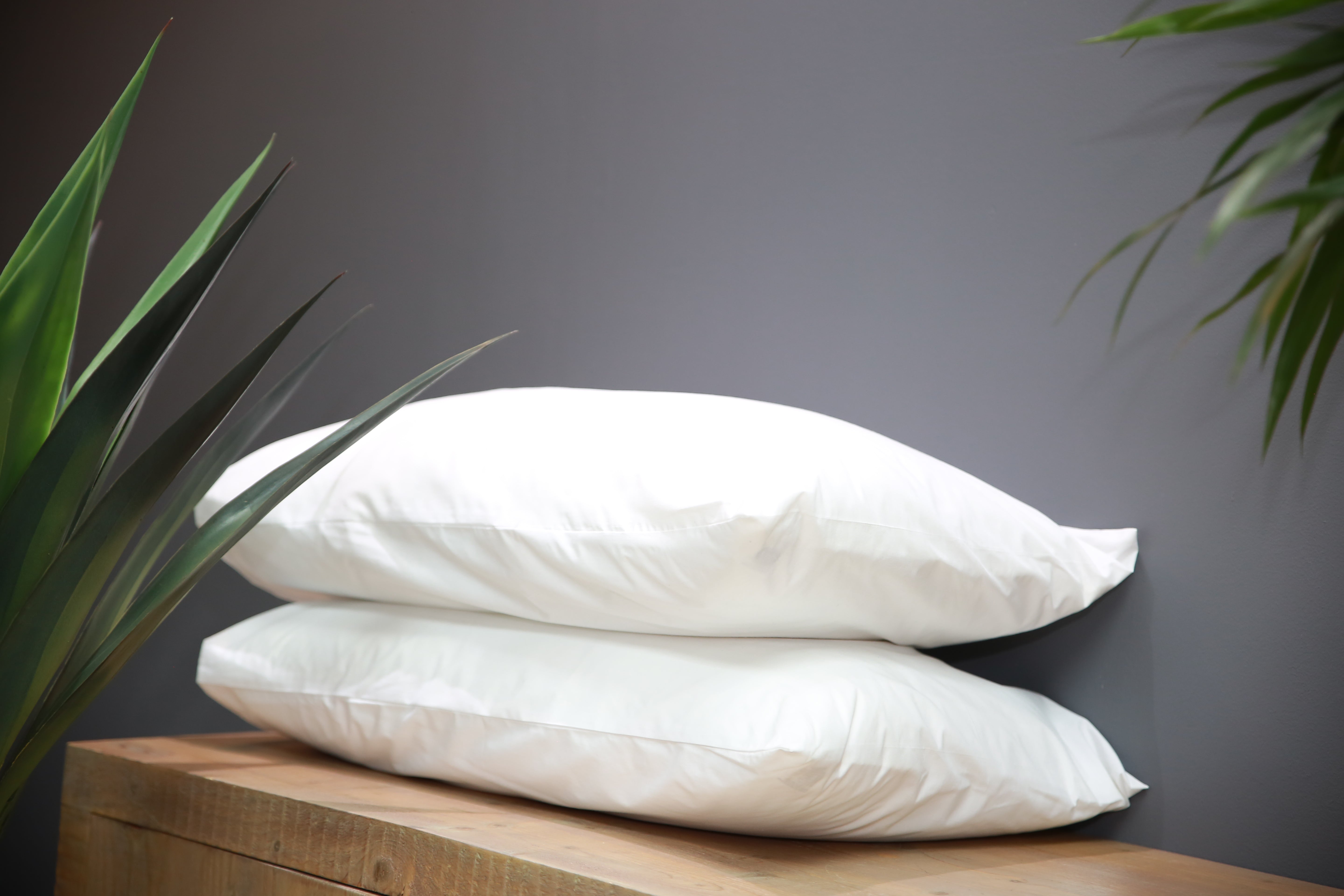 Premium Duck Feather & Ball Fibre Pillow Inner (Pack of 2)