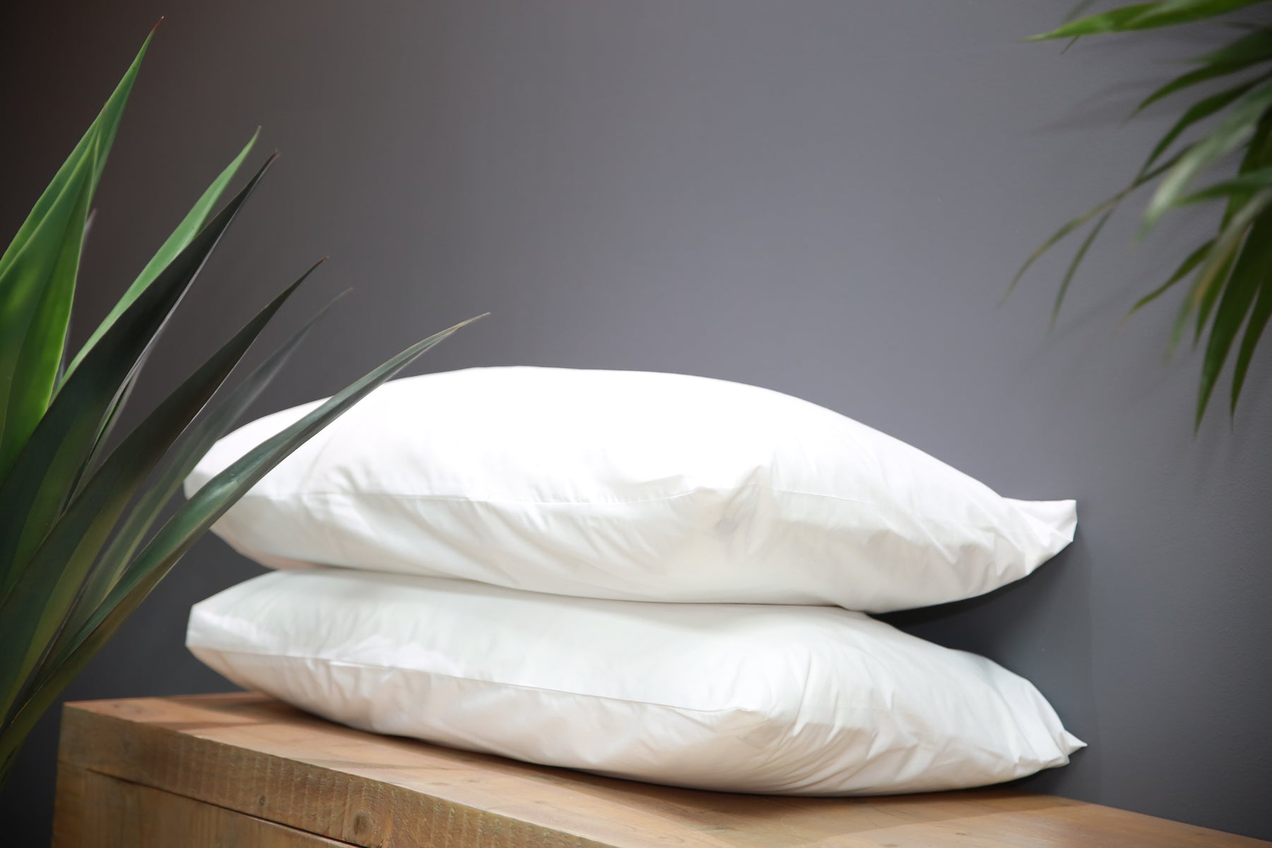 Premium Duck Feather & Ball Fibre Pillow Inner (Pack of 2)